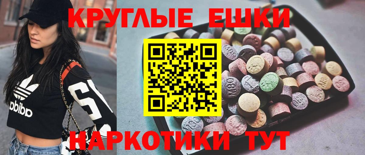 Псилоцибиновые грибы Новозыбков