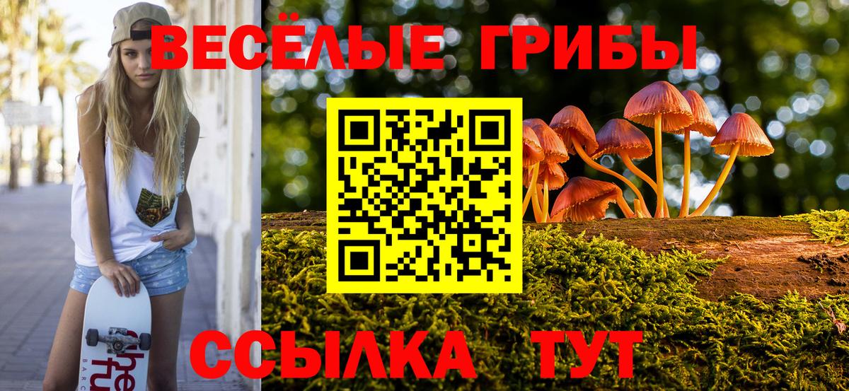 Псилоцибиновые грибы GOLDEN TEACHER Новозыбков