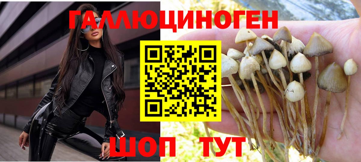Кокаин  Лсд 25  ГАШ  Cocaine  Вход с VPN  Меф кристаллы  Новозыбков  ГАШ 