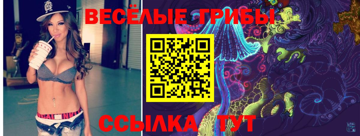 Новозыбков  наркотики  Вход с VPN  Псилоцибиновые грибы прущие грибы 